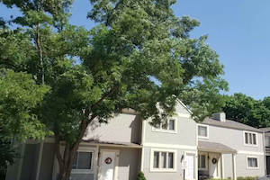 1408 Beechwood Ter